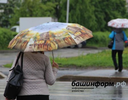 Дожди и грозы: синоптики республики сообщили прогноз погоды на ближайшие три дня