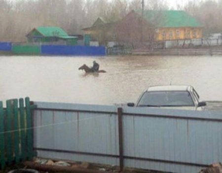 В Башкортостане распространили фото как мужчина верхом на коне пересекает затопленную улицу