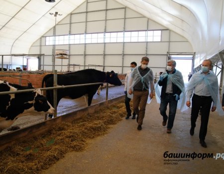 Роботизированная ферма СПК «Красная Башкирия» за день произвела 7 тонн товарного молока