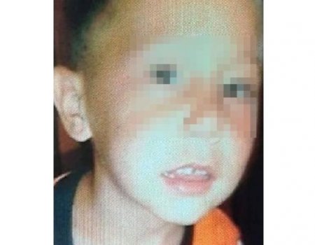 В Башкортостане найден мертвым пропавший в апреле 9-летний мальчик