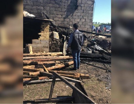 В Туймазинском районе Башкортостана в пожаре сгорели шесть работников теплицы - Следком РБ