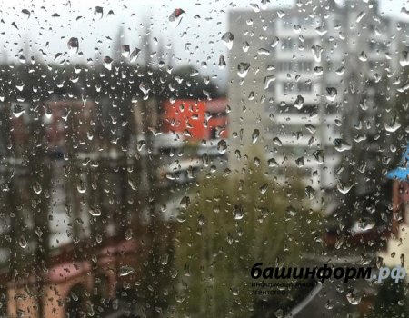 В Башкортостане в ближайшие три дня прогнозируются дожди и сильный ветер