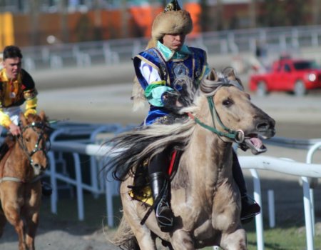 Сегодня в Уфе проходит конно-спортивный турнир «Терра Башкирия»