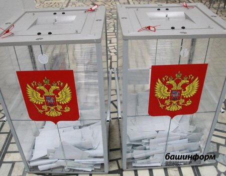 Проголосовать по поправкам в Конституцию РФ можно заранее. Есть три способа