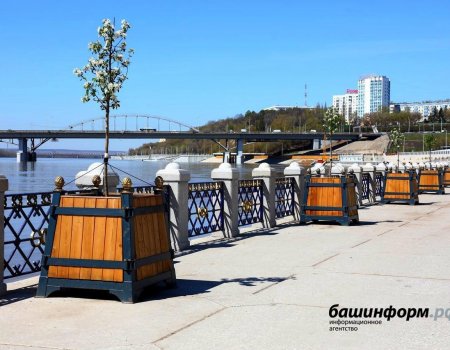 В июле ночных заморозков в Башкортостане не ожидается