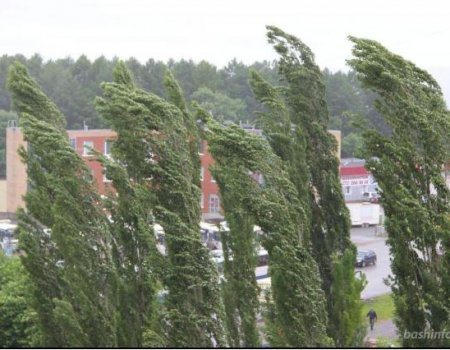 В Башкортостане МЧС предупреждает о сильном ветре и высокой пожароопасности