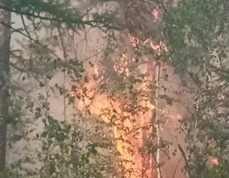 Лесные пожары в Бурзянском районе Башкортостана должны ликвидировать через два дня