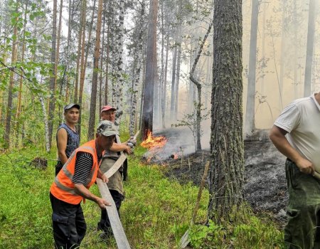 В Башкортостане более 30 волонтеров отправились тушить лесные пожары в Белорецком районе