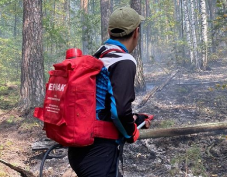 В Башкортостане во время тушения лесного пожара погиб волонтер