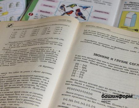 25 школьников Башкортостана набрали по 100 баллов на ЕГЭ по русскому языку