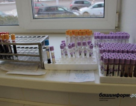 Число инфицированных COVID-19 в Башкортостане выросло до 6 536 человек