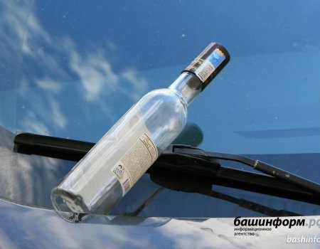 Глава Башкортостана вновь поручил заняться пьяными водителями: «Распустились, ничего не боятся»