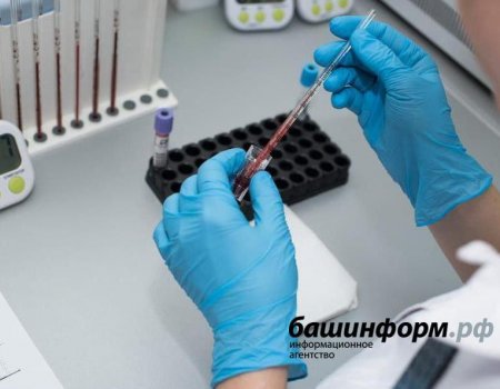 6815 случаев заражения новым коронавирусом выявлено в Башкортостане