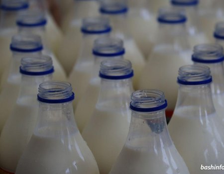 Башкирия вошла в Топ регионов по производству и продажам молока
