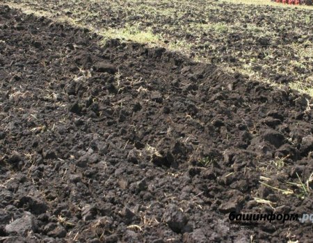 В Чишминском районе обнаружено поле, загрязненное тяжелыми металлами