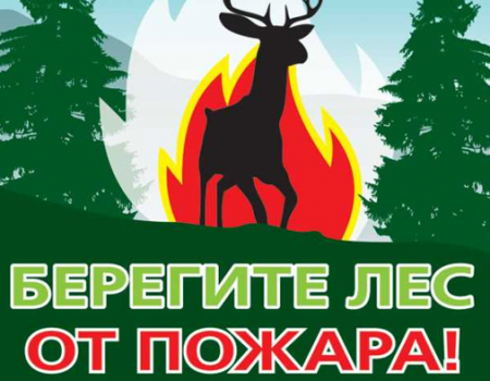 В Башкортостане к противопожарной защите лесов будут привлекать дружины из добровольцев