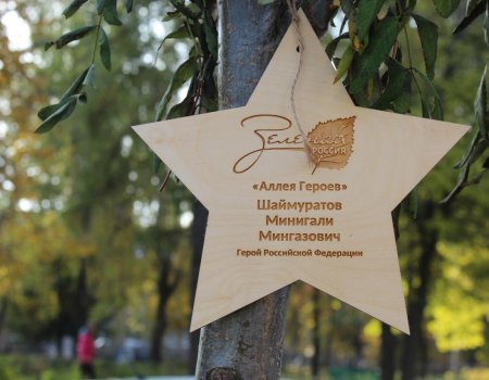 В Башкортостане в рамках проекта «Лес Победы» появилось 75 аллей Героев