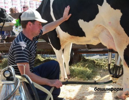 В Башкортостане в 2020 году создадут 80 новых фермерских хозяйств