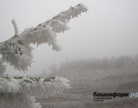 В Башкортостан идет потепление