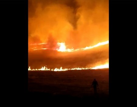 В Зианчуринском районе при помощи местных жителей локализовали еще один природный пожар