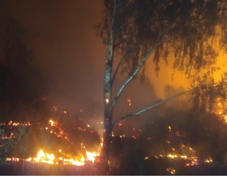 Глава Белорецкого района назвал ситуацию с лесными пожарами тяжелой и попросил о помощи