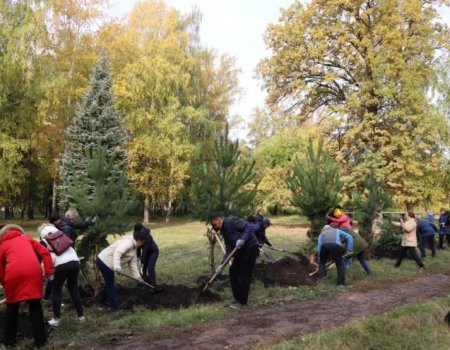 В рамках акции «Зеленая Башкирия» в Уфе высажено 1,4 тысячи деревьев