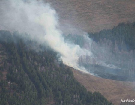В Башкортостане ликвидирован крупный лесной пожар