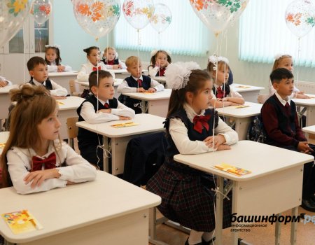 Нет необходимости переводить всех школьников на дистант - глава Минобра Башкортостана
