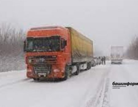 В Башкортостане синоптики объяснили переменчивый характер погоды в январе