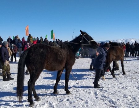 Лучшие объездчики лошадей Башкортостана показали свое мастерство на конкурсе «Тай-Тулак»