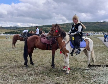 В Башкортостане планируют создать институт, который займется изучением башкирской лошади