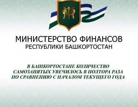 В Башкортостане количество самозанятых увеличилось в полтора раза по сравнению с началом текущего года