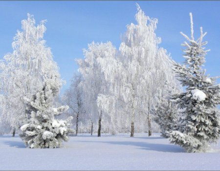 Жителей Башкортостана ждет морозная неделя