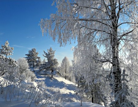 Стало известно, какой будет погода в Башкортостане в январе