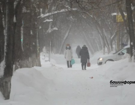 Глава Башкортостана призвал минЖКХ республики уделить особое внимание борьбе со снегопадами