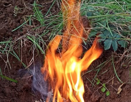 В лесах Башкортостана начинается пожароопасный сезон