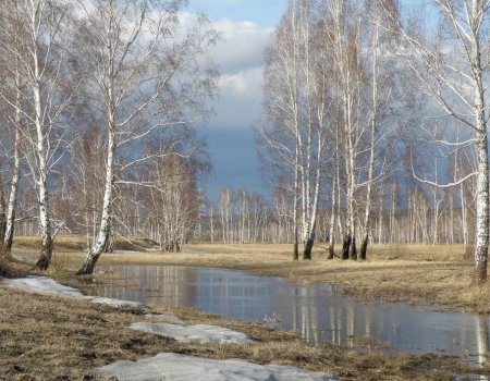 Во вторник в Башкортостане сохранится теплая погода без осадков