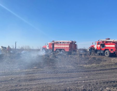 За сутки в Башкортостане зарегистрировано более 30 случаев горения сухой травы - МЧС