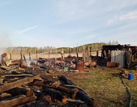 В Башкортостане при пожаре пострадал мужчина