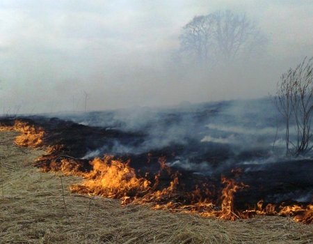 Что жителям Башкирии нужно знать про лесные пожары