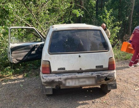 В Башкортостане водитель скрылся с места ДТП после столкновения с деревом, пассажирка погибла