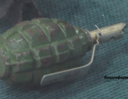 Жительница Башкирии принесла домой гранату