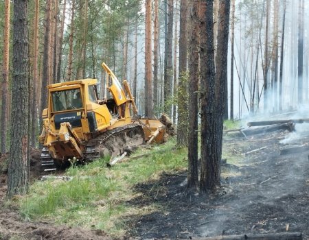 В Белорецком районе Башкортостана тушат большой лесной пожар