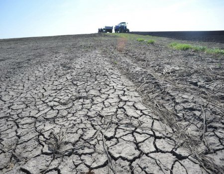 В Башкортостане ввели режим чрезвычайной ситуации из-за засухи