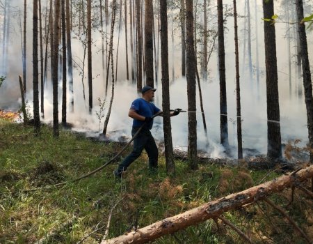 В Башкирии ликвидирован лесной пожар на территории Белорецкого района