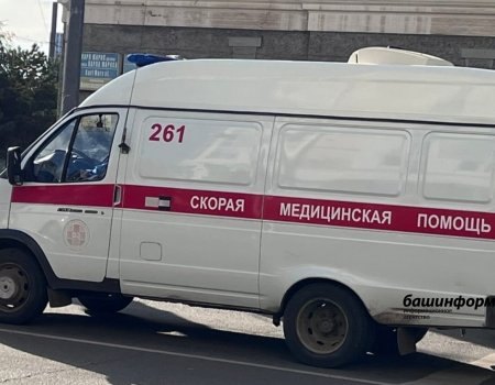 Житель Башкортостана избил черенком лопаты разбудившего его мужчину