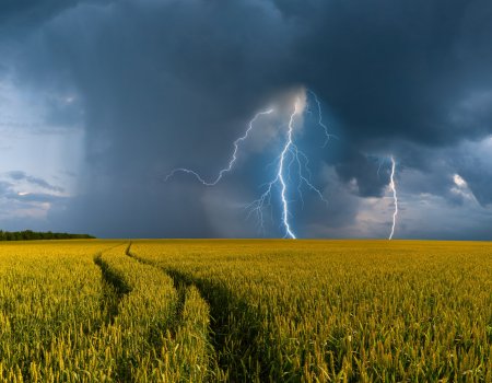 В Башкортостане прогнозируются кратковременные дожди и грозы