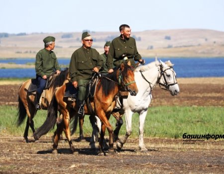 Башкирская лошадь будет еще одним брендом республики - участники конференции фестиваля «Башҡорт аты»