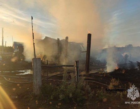 В Башкортостане из-за детской шалости с огнем многодетная семья осталась без крыши над головой