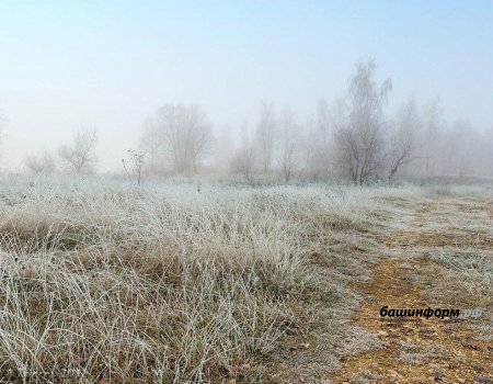 Ночью в Башкортостане ожидаются заморозки до -2 градусов